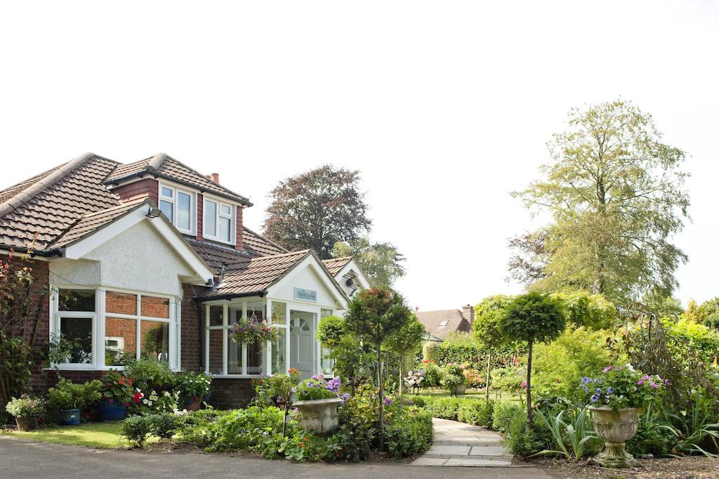 Forest View B&B Landford Exterior foto