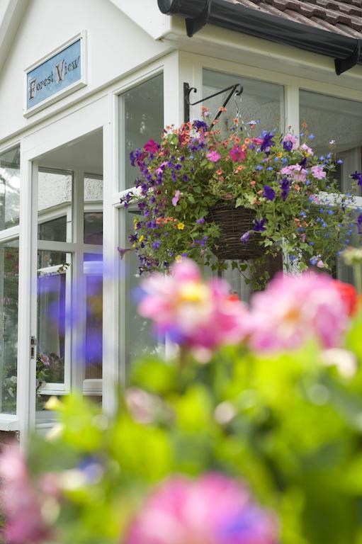 Forest View B&B Landford Exterior foto