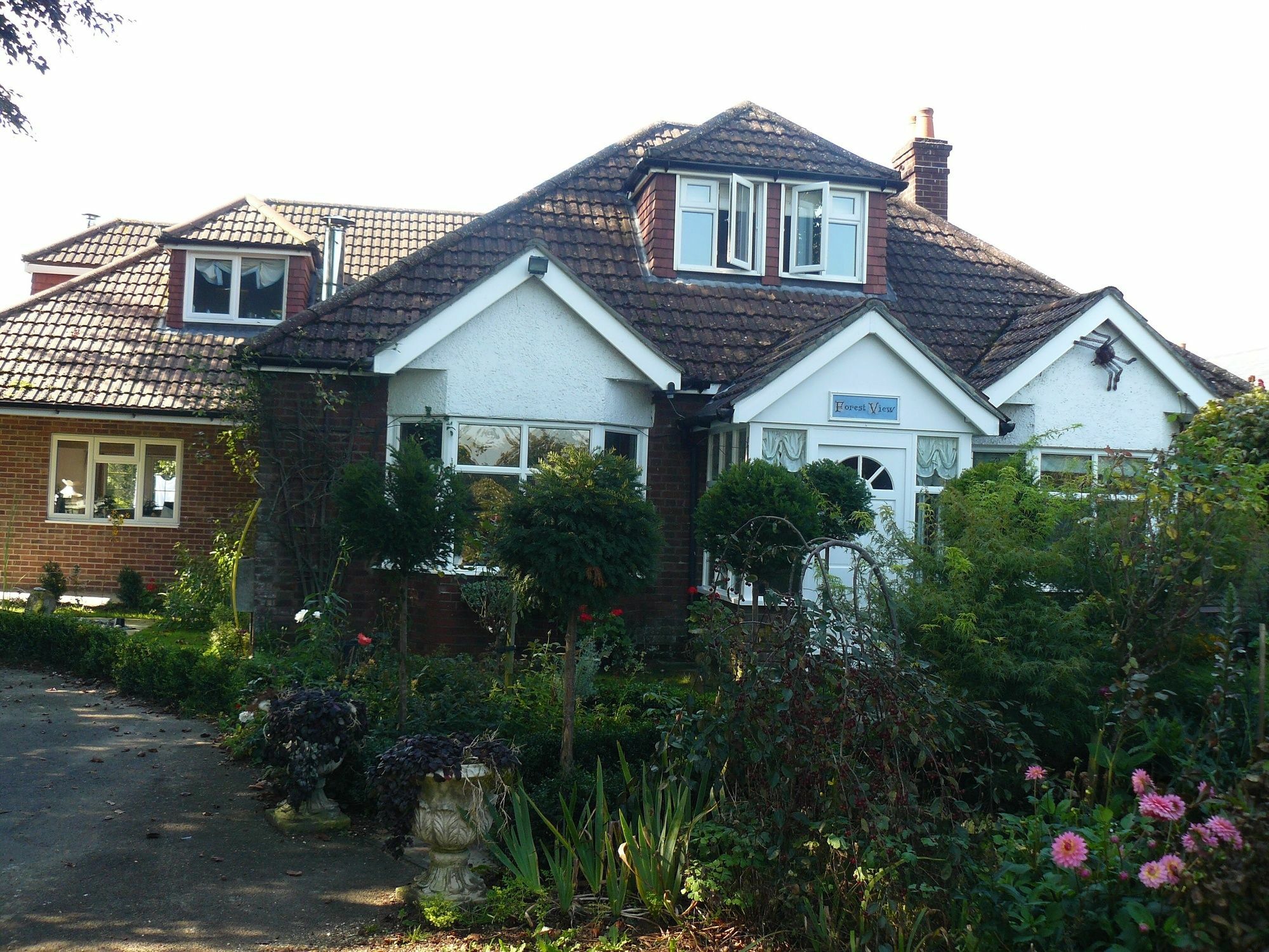 Forest View B&B Landford Exterior foto